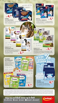 Aktueller Zookauf Neubrandenburg Prospekt Zookauf Prospekt Neubrandenburg "Schnurr-SchnÀppchen" mit 2 Seiten