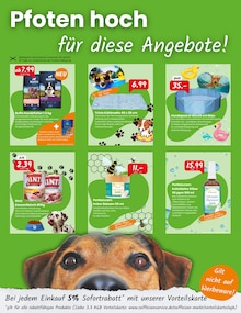 Teppichboden im Raiffeisen Rhein-Ahr-Eifel Handelsgesellschaft mbH Prospekt "Entdecke unsere August-Angebote!" mit 6 Seiten (Trier)