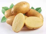 Bio-Speisefrühkartoffeln im aktuellen EDEKA Prospekt für 2,99 €