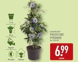 Passiflore pyramide - Gardenline en promo à 6,99 € chez Aldi Passiflore pyramide - Gardenline dans le catalogue Aldi
