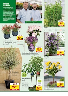 Obst im toom Baumarkt Prospekt "Respekt, wer's selber macht." mit 8 Seiten (Leipzig)