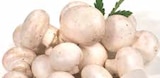 Champignons im Angebot bei E center in Regensburg Champignons Angebote bei E center Regensburg für 1,99 €