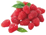 Himbeeren von  im aktuellen REWE Prospekt für 1,99 €