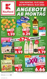 Kaufland Supermarkt Prospekt der aktuellen Woche mit 65 Seiten, gültig von 13.07.2026 bis 15.07.2026, in Rheinfelden und Umgebung Aktueller Kaufland Supermarkt Prospekt in Rheinfelden und Umgebung, "Hier bin ich richtig" mit 65 Seiten, 13.07.2026 - 15.07.2026
