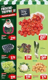 Tomaten im famila Nordost Prospekt in Langenhagen Aktueller famila Nordost Prospekt mit Tomaten, "besser als gut!", Seite 4