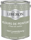 Peinture(d) murs, plafonds et boiseries Velours de peinture vert Luxembourg Liberon 2,5L - Liberon en promo chez Castorama Boulogne-Billancourt à 55,90 €
