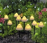 Solar-LED-Lichterkette Angebote bei ROLLER Mannheim für 7,99 €