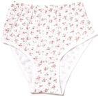 Maxi Slips im aktuellen Netto mit dem Scottie Prospekt