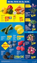 Lidl Obst im Prospekt Lidl Obst im Prospekt