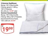 Aktuelle Kopfkissen Angebote bei GLOBUS in Salzgitter Aktuelles 3-Kammer-Kopfkissen Angebot bei GLOBUS in Salzgitter ab 19,99 €