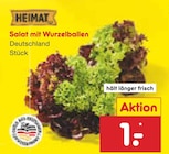 Salat mit Wurzelballen von Heimat im aktuellen Netto Marken-Discount Prospekt