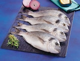 Daurade royale d'aquaculture en promo chez Super U Avignon à 11,50 €