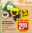 Aktuelles Stiefmütterchen oder Hornveilchen Angebot bei REWE in Augsburg ab 0,59 €