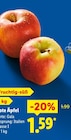 Lidl Dresden - Rote Äpfel Angebot im Prospekt Rote Äpfel bei Lidl im Dresden Prospekt für 1,59 €