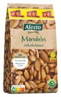 Selection Mandeln XXL im Angebot bei Lidl in Leipzig Selection Mandeln XXL Angebote von Alesto bei Lidl Leipzig für 5,69 €