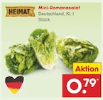 Mini-Romanasalat Angebot in Annaberg-Buchholz Mini-Romanasalat im aktuellen Prospekt bei Netto Marken-Discount in Annaberg-Buchholz