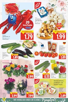 Blumen im aktuellen E center Prospekt (Berlin) Blumen im E center Prospekt "Aktuelle Angebote" mit 28 Seiten (Berlin)