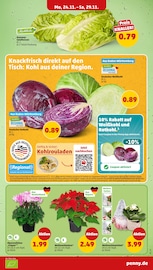 Aktueller Penny Prospekt mit Weihnachtsstern, "Wer günstig will, muss Penny.", Seite 6