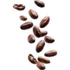 Naturals Bodymilk Bio-Kakaobutter & Bio-Mango bei Kaufland im Meppen Prospekt für 1,95 €