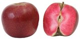 Rotfleischige Tafeläpfel im Angebot bei REWE in Schwerin Rotfleischige Tafeläpfel Angebote bei REWE Schwerin für 1,99 €