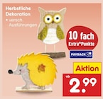 Herbstliche Dekoration im Angebot bei Netto Marken-Discount in Witten Herbstliche Dekoration Angebote bei Netto Marken-Discount Witten für 2,99 €