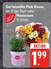Angebot im EDEKA Sylt Prospekt EDEKA Sylt Prospekt mit im Angebot für 1,99 €