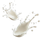 Fruchtjoghurt Mango-Vanille im Angebot bei Kaufland in Lüneburg Fruchtjoghurt Mango-Vanille Angebote von Mövenpick bei Kaufland Lüneburg für 0,69 €