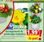 Arrangement de printemps 4 plantes en promo chez Norma Metz à 1,99 €