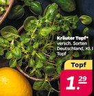 Kräuter Topf im aktuellen Netto mit dem Scottie Prospekt