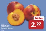 combi - Nektarinen Angebot im Prospekt Nektarinen bei combi im Prospekt "" für 2,22 €