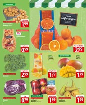 Kartoffeln im famila Nordost Prospekt in Celle Aktueller famila Nordost Prospekt mit Kartoffeln, "besser als gut!", Seite 4