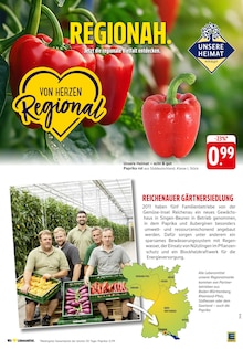 Paprika im EDEKA Prospekt "Aktuelle Angebote" mit 37 Seiten (Wiesbaden)