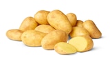 Speisefrühkartoffeln bei Penny-Markt im Rheinfelden Prospekt für 1,79 €