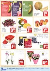 Erdbeeren im Marktkauf Prospekt in Wismar Aktueller Marktkauf Prospekt mit Erdbeeren, "Top Angebote", Seite 6