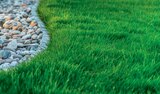 Gartenkalk im Angebot bei Netto Marken-Discount in Chemnitz Gartenkalk Angebote von Garten Magie bei Netto Marken-Discount Chemnitz für 2,99 €
