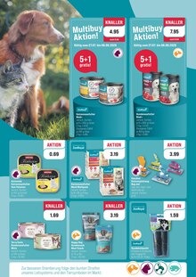 Katzenfutter im aktuellen ZooRoyal Prospekt (Düsseldorf) Katzenfutter im ZooRoyal Prospekt "WIR FEIERN DEN WELT-KATZENTAG!" mit 8 Seiten (Düsseldorf)