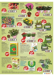 Dünger Angebot & Preis im aktuellen V-Markt Prospekt Dünger Angebot im aktuellen V-Markt Prospekt auf Seite 15