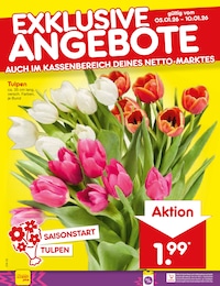 Netto Marken-Discount Pflanzen im Prospekt Netto Marken-Discount Pflanzen im Prospekt