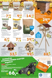 Ähnliche Angebote wie Gartenzwerg im Prospekt "Immer eine Idee besser" auf Seite 20 von Globus-Baumarkt in Düsseldorf