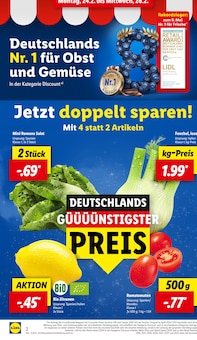 Fenchel im Lidl Prospekt "LIDL LOHNT SICH" mit 61 Seiten (Nürnberg)