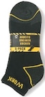 Aktuelles Arbeitssneakersocken oder Arbeitssocken Angebot bei Netto mit dem Scottie in Dresden ab 3,99 €
