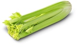 Aktuelles Bio-Staudensellerie Angebot bei Penny in Nürnberg ab 1,00 €
