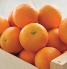 Intermarché Express Antibes - Promo Orange a jus et/ou a dessert Promo Orange a jus et/ou a dessert à 3,19 € dans le catalogue Intermarché Express à Antibes