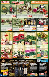 Schmuck Angebot & Preis im aktuellen Norma Prospekt Schmuck Angebot im aktuellen Norma Prospekt auf Seite 14