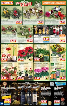 Kohlroulade Angebot im Norma Prospekt, gültig von 03.11.2025 bis 08.11.2025 Kohlroulade Angebot im aktuellen Norma Prospekt auf Seite 14