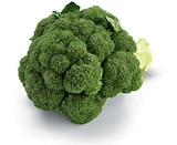 Broccoli im Angebot bei Netto Marken-Discount in Löhne Broccoli Angebote von HEIMAT bei Netto Marken-Discount Löhne für 0,84 €