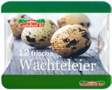 Kaufland Königs Wusterhausen - Wachteleier Angebot im Prospekt Wachteleier bei Kaufland im Königs Wusterhausen Prospekt für 3,39 €