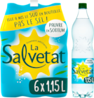 SALVETAT EAU GAZEUSE - SALVETAT en promo chez Auchan Hypermarché Nice à 3,29 €
