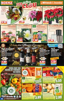 Äpfel im aktuellen Norma Prospekt (Essen) Äpfel im Norma Prospekt "Mehr fürs Geld" mit 20 Seiten (Essen)