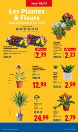 Plantes Angebote im Prospekt "Moins Cher !" von Lidl auf Seite 35